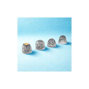 DermaLuxe Gold RF Microneedling Machine