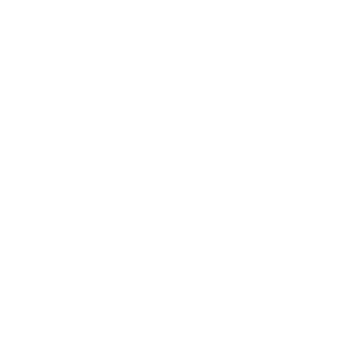 LuminaShape Tech Co.